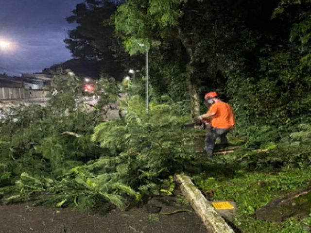 Defesa Civil remove galhos e libera passagem na beira-rio de Tubaro