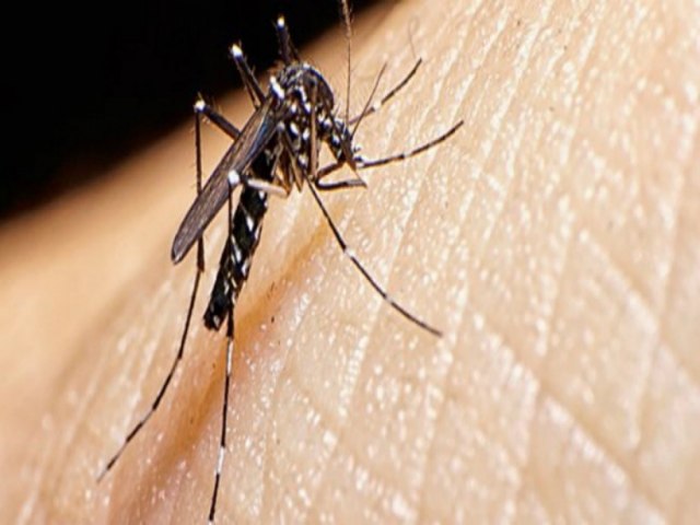 Tubaro chega a 232 focos e 78 casos de dengue