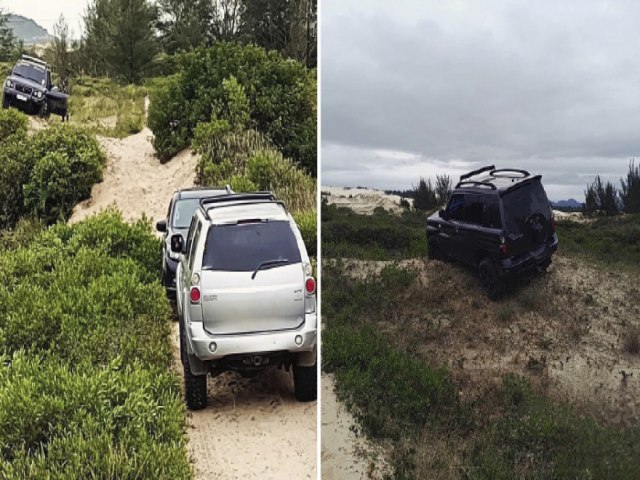 Motoristas so flagrados em crime ambiental na regio