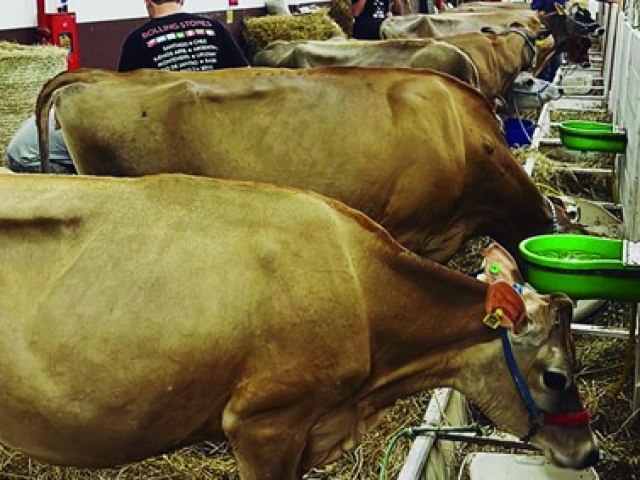 Brao do Norte: Comeou a Feagro  A maior feira do agronegcio de SC