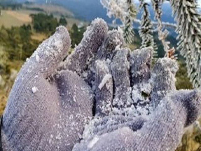 Onda de frio faz cidades de SC 'congelarem' com temperaturas abaixo de zero