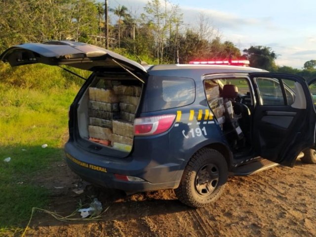 PRF localiza quase meia tonelada de maconha s margens da BR-282 em SC