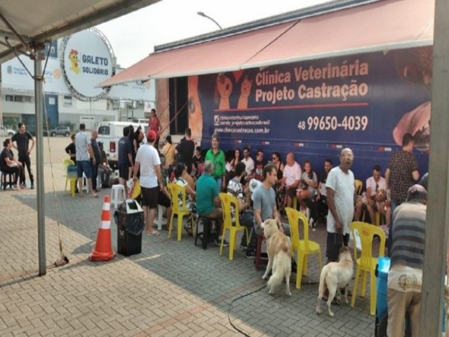 Mutiro realiza a castrao de mais de 300 animais na Arena Multiuso