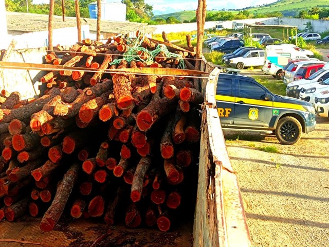 Caminho com madeira  apreendido em Garanhuns