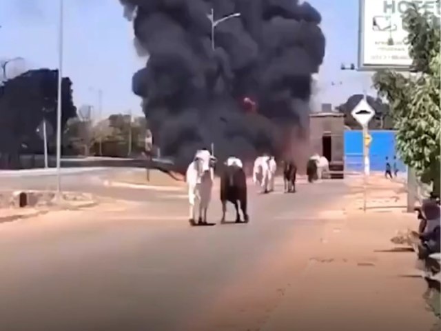 Caminho pega fogo e bois que seguiam para abate fogem no MT