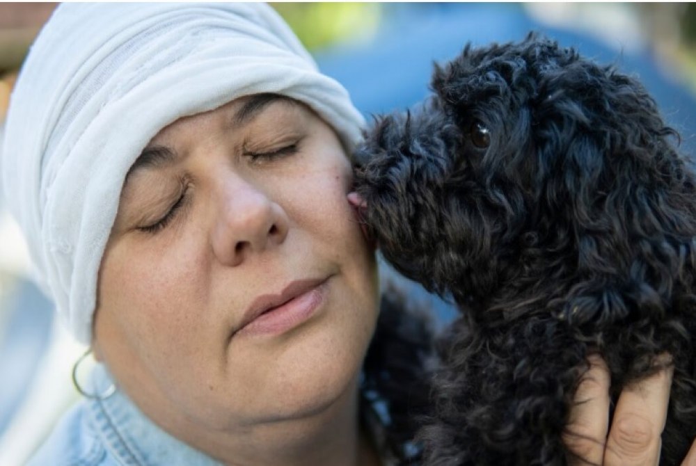 Quimioterapia e pets: saiba como manter a conviv�ncia segura