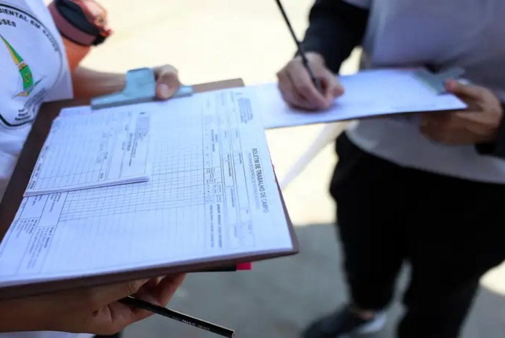 Recife Promove ``Dia D´´ nas Escolas para Combater a Dengue Nesta Sexta (24) Recife Promove ``Dia D´´ nas Escolas para Combater a Dengue Nesta Sexta (24)