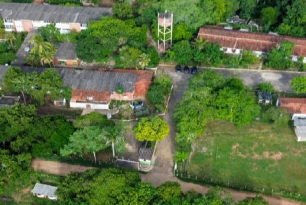Inscri��es Abertas: Curso T�cnico em Agroecologia no SERTA oferece 300 Vagas Gratuitas em Pernambuco