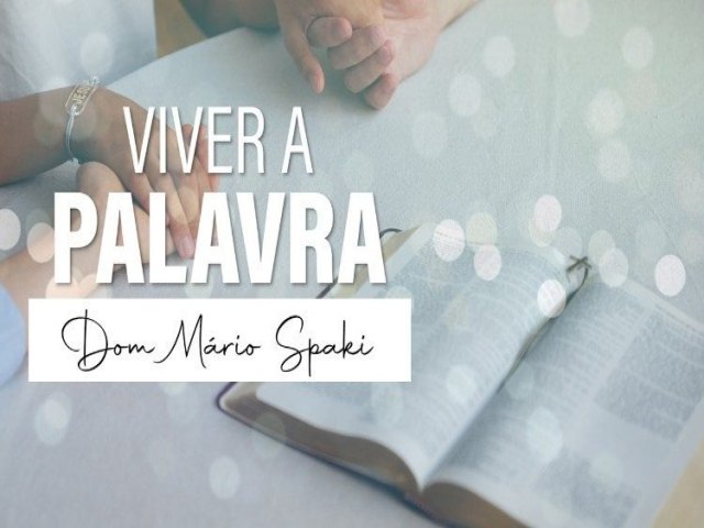 VIVER A PALAVRAS 