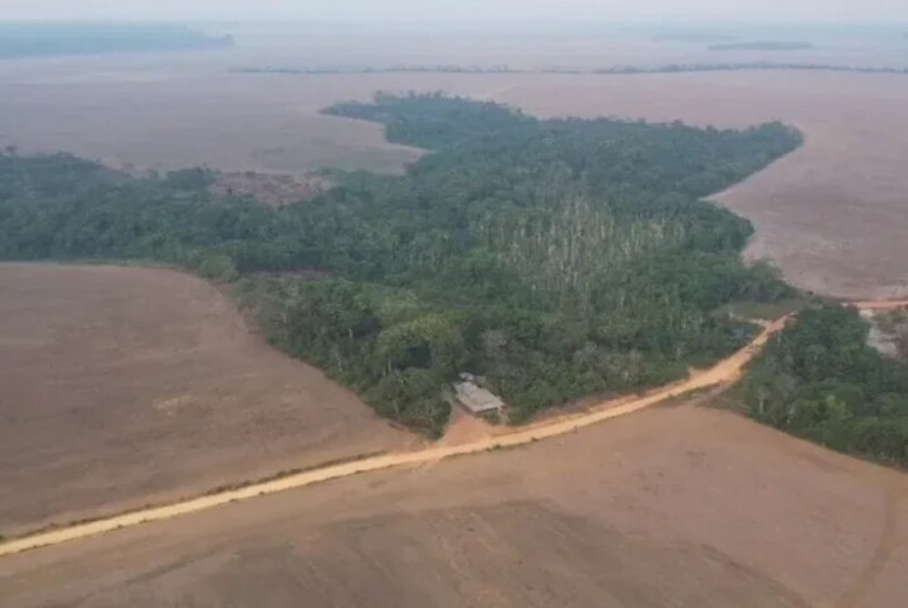 Com avan�o do agro, Brasil perdeu �rea do tamanho da Bol�via de vegeta��o nativa