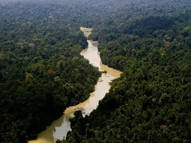 Brasil no trata meio ambiente com seriedade, diz promotor