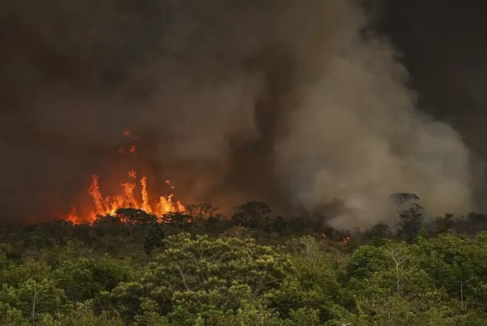 Par�, sede da COP30, � o segundo estado que mais desmatou em 2024