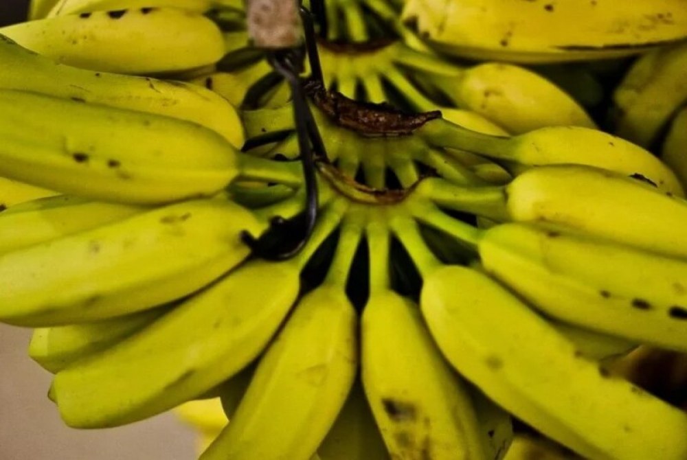 Banana e batata-doce podem ajudar a reduzir press�o arterial, aponta estudo