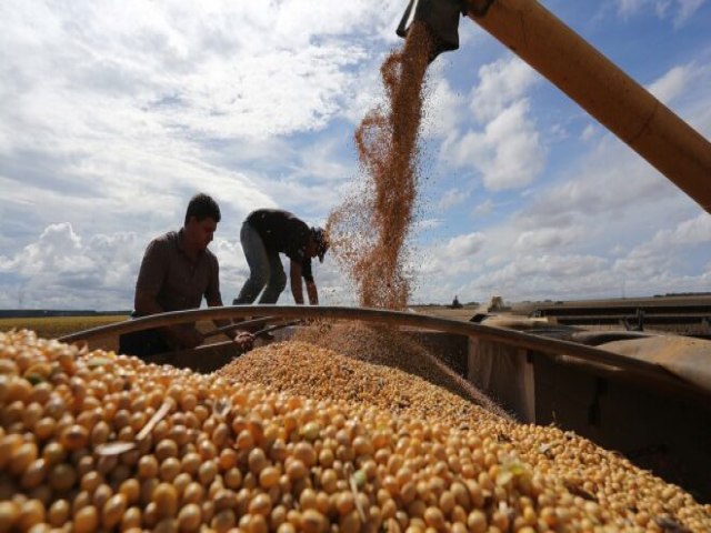 Unio Europeia Adia Regulamento Antidesmatamento e Reitera Exigncias ao Agronegcio Brasileiro