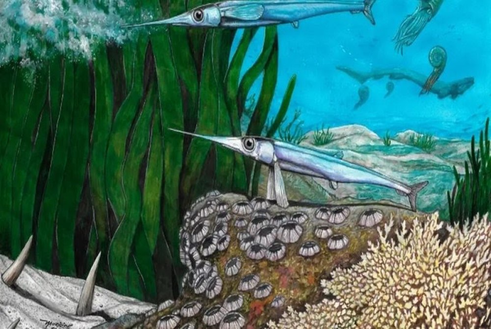 Cientistas brasileiros identificam nova espécie de peixe pré-histórico Cientistas brasileiros identificam nova espécie de peixe pré-histórico