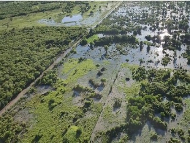 OMM pide �extremar precauciones� ante fen�meno de El Ni�o: �C�mo podr�a afectar a Paraguay?